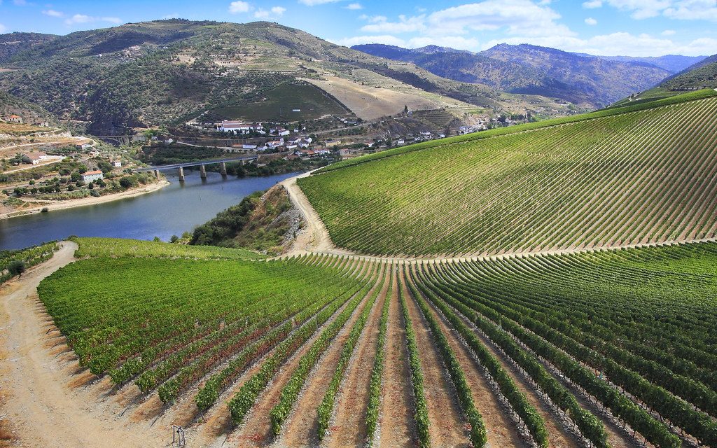 CIRCUITO CULTURAL POR EL VALLE DEL DOURO