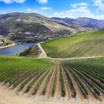 CIRCUITO CULTURAL POR EL VALLE DEL DOURO