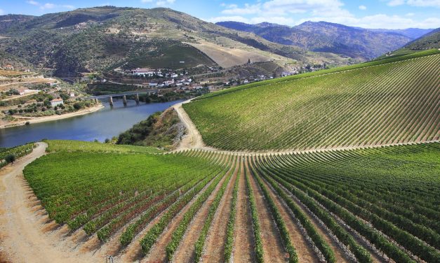 CIRCUITO CULTURAL POR EL VALLE DEL DOURO