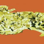 A CORUÑA. UNA CIUDAD POR EXPLORAR