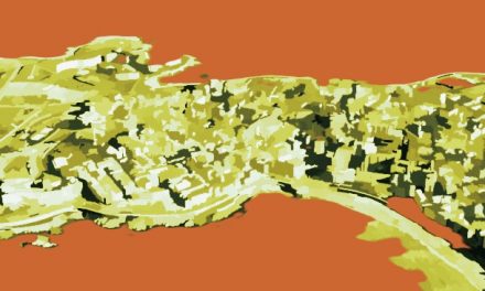 A CORUÑA. UNA CIUDAD POR EXPLORAR